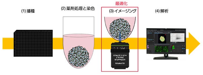 薬剤評価のワークフロー
