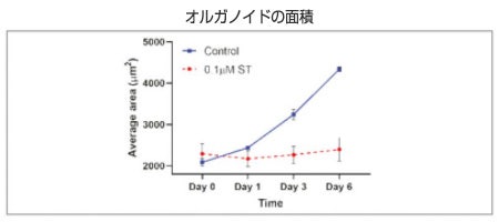 オルガノイドの面積