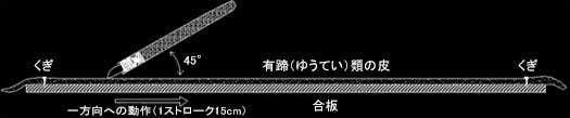 図4　珪岩製皮はぎ用スクレイパー使用実験の設定の概略図