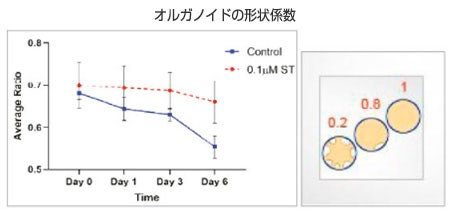 オルガノイドの形状係数