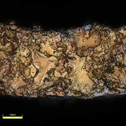 切断断面評価　対物レンズ100x ズーム2x