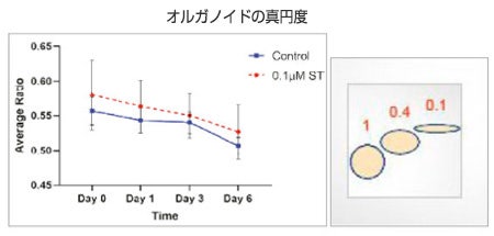 オルガノイドの真円度