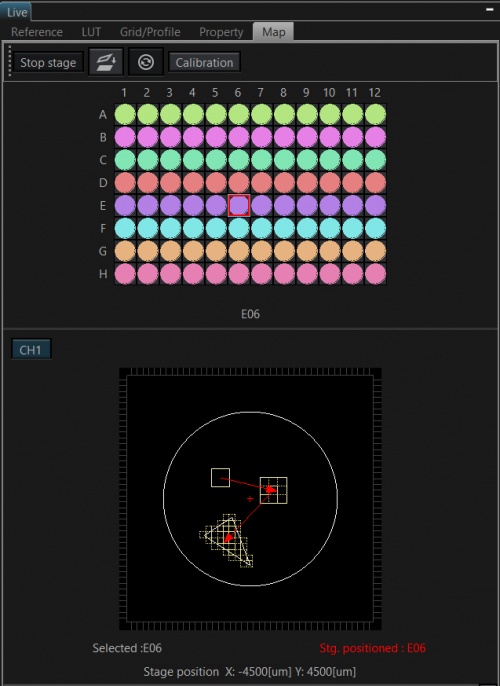 顕さま参考画像 FLUOVIEW FV3000とTruFocus Zドリフトコンペンセーターを使用した細胞