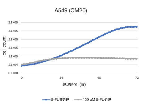 CM20により定量した細胞数