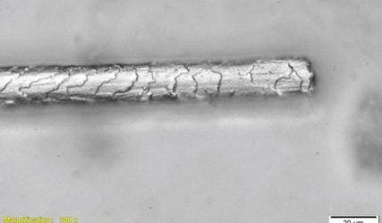 Pashmina fiber captured using the BX53M microscope