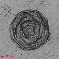 対物レンズ 100X, ズーム 1X