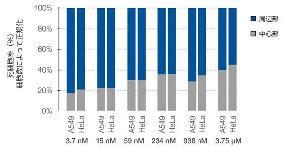 図7. 中心部と周辺部の薬剤反応性の違い