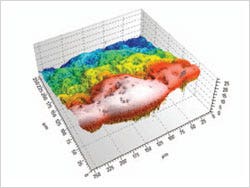 石器の3D表示