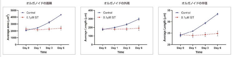 図3：対照：n=370、0.1 μM ST：n=234。非添加オルガノイドと0.1 μMのST添加オルガノイドで比較したオルガノイドのサイズに関連するパラメーターの経時的変化。