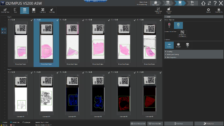 種類の異なる標本を1度のバッチでスキャンします 。