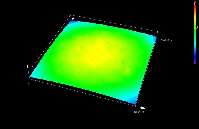 50X対物レンズによる3D画像