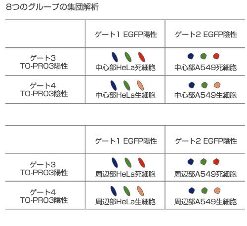 8つのグループの集団解析