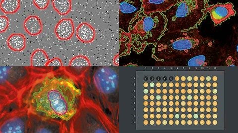 High-Content-Screening: Benutzerspezifische Analyse leicht gemacht