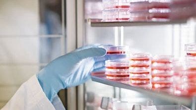 Good Cell Culture Practice—How to Improve the Reproducibility of Your Experiments