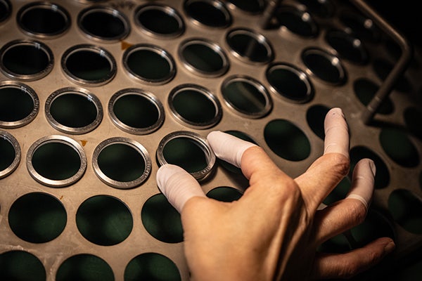 仕事でのエピソード ― 「自分はどうしたいのか」を伝える方法を一から学んだ