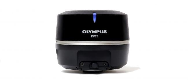 Digital Microscope Color Camera | Olympus LS