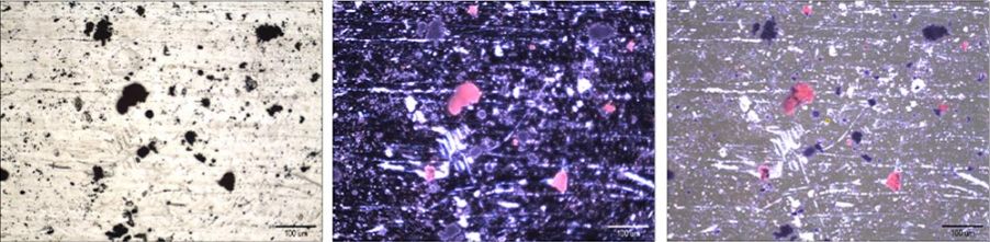 MIX観察によるスクリーニングでラマン分析の作業時間を短縮する