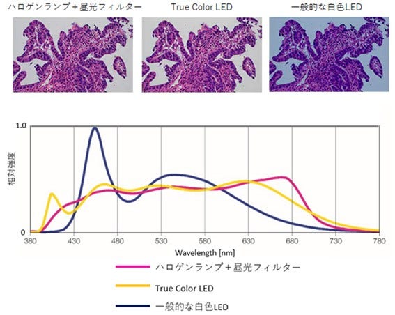 ハロゲンランプとTrue Color LED、一般的な白色LEDの分光特性