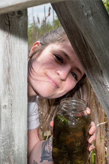 顕微鏡観察のためのワムシ採取