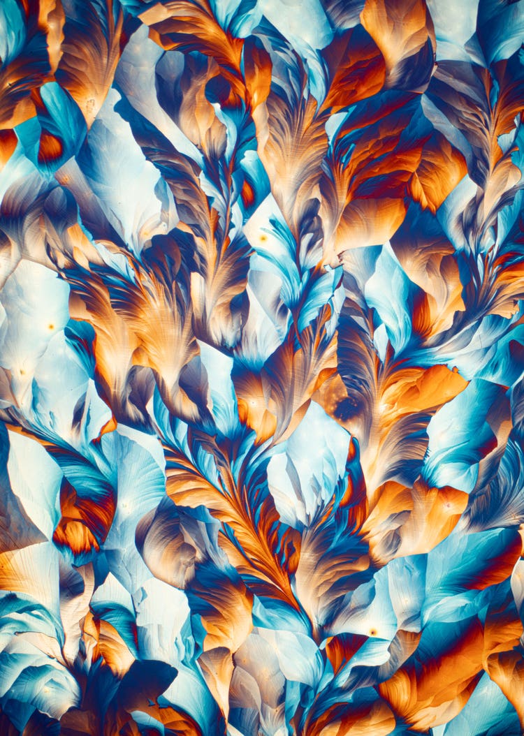 偏光を使用して撮像された結晶化カリウムと硫酸鉄