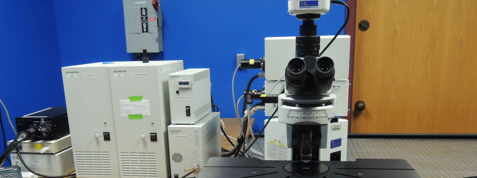 宇宙のバイオフィルム：共焦点レーザー走査型顕微鏡がNASAの研究実験の