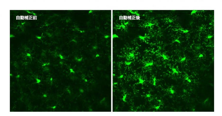 画像提供：マサチューセッツ工科大学（MIT）のMitchell Murdock氏