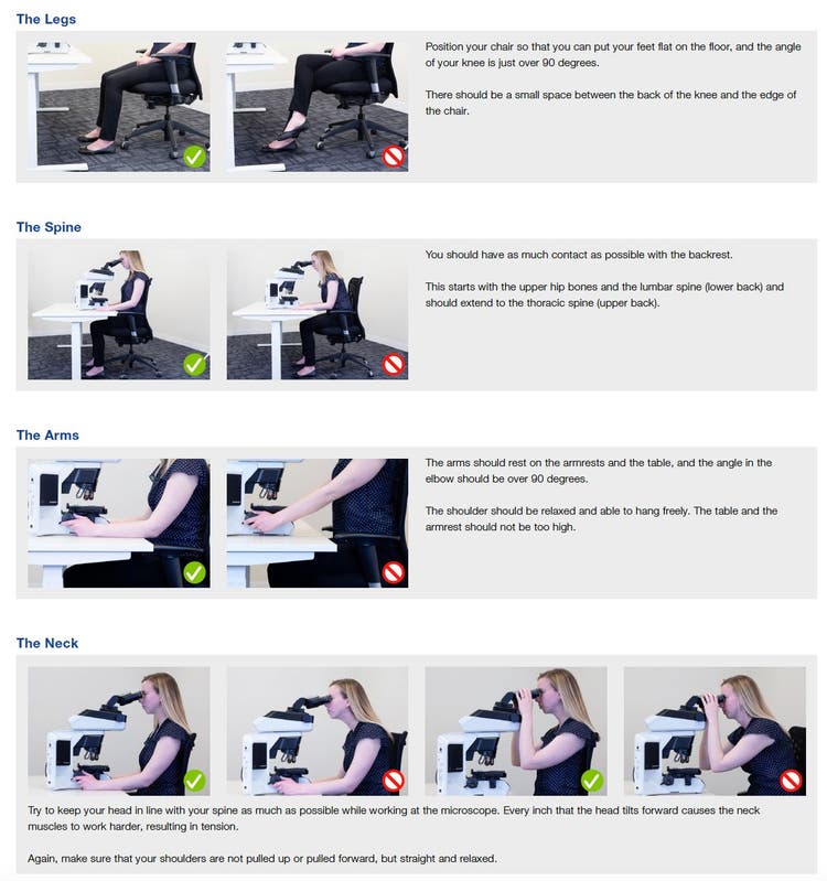 日常の顕微鏡使用において作業関連の負担や怪我を回避するために、人間工学上理想的な姿勢位置を定義した教育用ポスター