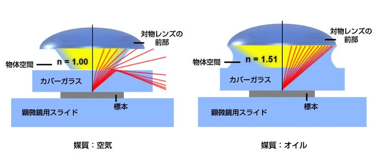 液浸媒体の比較