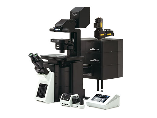 フリーサイエンス NIR Solutions for Multiplexed Confocal Imaging | オリンパス