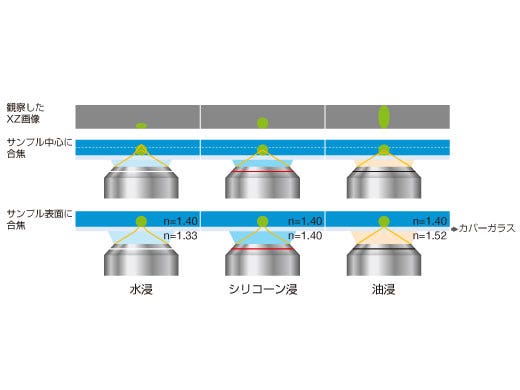 Effects of Refractive Index Mismatch on Sample Shape