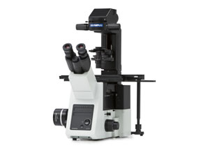 IXplore IX73 Standard 複式顕微鏡システム | Evident Scientific