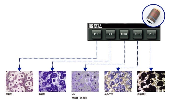 ワンクリックで観察法切り替え