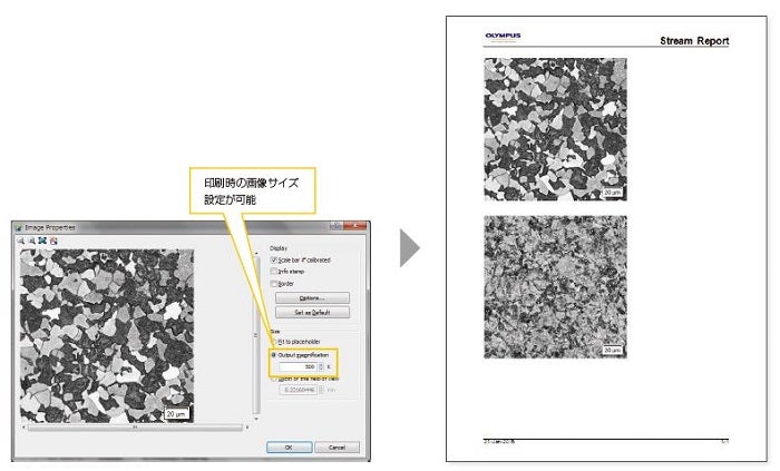 規定のサイズで画像プリント