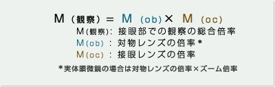 接眼部での総合倍率