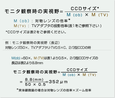 モニタ観察時の実視野