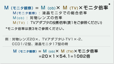 液晶モニタでの総合倍率