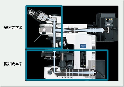 顕微鏡の光学系構成