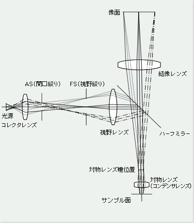 図2. 落射照明光学系の光学構成