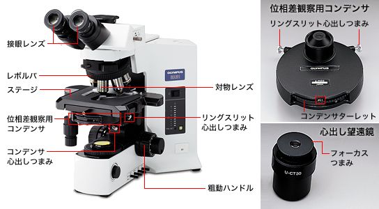 その機能、使っていますか? 〜位相差観察編〜 | オリンパス その機能、使っていますか? 〜位相差観察編〜 | オリンパス