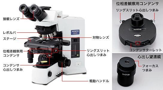 位相差顕微鏡の各部の名称