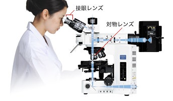 意外と知らない、ピントとズーム2