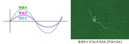 図3 ネガティブコントラストまたはブライトコントラスト（同位相）