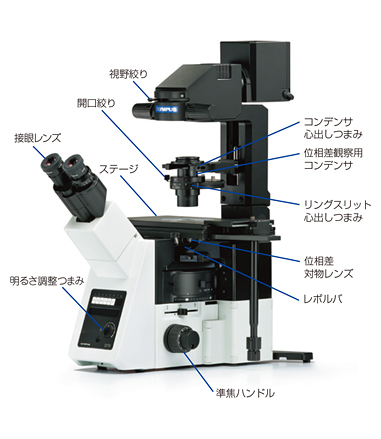 倒立顕微鏡を使いこなす！～位相差顕微鏡の構成と観察準備