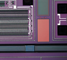 図4 金属顕微鏡の観察例
