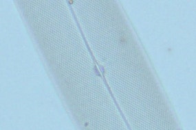 図6 分解能が十分