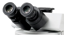 図10 鏡筒（左側スリーブ視度調整用ヘリコイド付き）