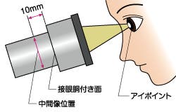 顕微鏡の構成と仕様 ～接眼レンズ・鏡筒～ | オリンパス ライフサイエンス