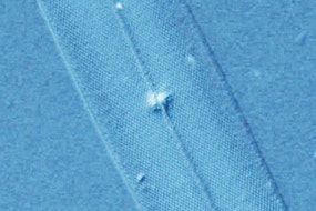 図8 コントラストが高い