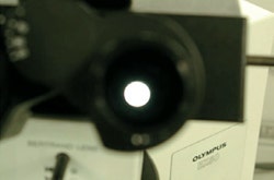 図2 対物レンズの瞳