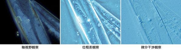 図7 観察法とコントラスト